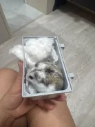 ������. ����