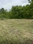 ������ ��������� ������� � �. �����. 18����., ���, ������ ����