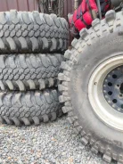 CST Land Dragon MT-CL18. ����� mt, 2017 ���, �/�, ����� 50 % ����