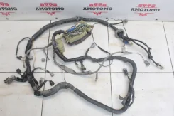 ������� ��������� Toyota Cynos EL52 1998 [B0278-9] 19026732B ����