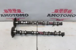 ���������� [����] Ford Focus DNW 2005 [B0164-212] 6274 ����