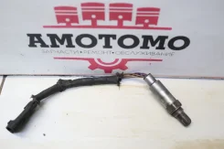 ������ ����������� Daewoo Leganza V100 2000 [B0165-144] 25312184 ����