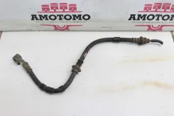����� ��������� Nissan Primera HP11 1999 [R1205], ����� �������� 462102J008 ����