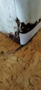 Indesit. �������� 5��� ����