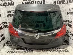 ������ ��������� Opel Insignia 2008-2013 126004 ����