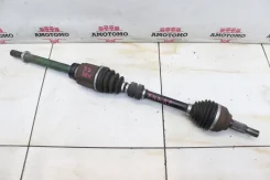 ������ Nissan Dualis KJ10 2008 [X0117-57], ������ �������� 39100JG32C ����