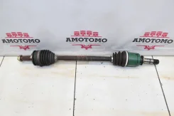 ������ Subaru Forester SF5 1998 [X0171-33], �����/������ �������� 28021AC280 ����