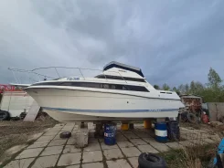 Carver. 2001 ���, ����� 10��., ��������� ������������, 300��.�., ������ ����