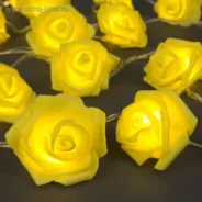 �������� ������ 5 �, ����� ������, ���������� ����, �������� ����� �����,220� 3612368 �15096 ����