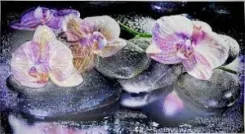 ������ ��� � ������������ 602�1002 �� 28150 ����
