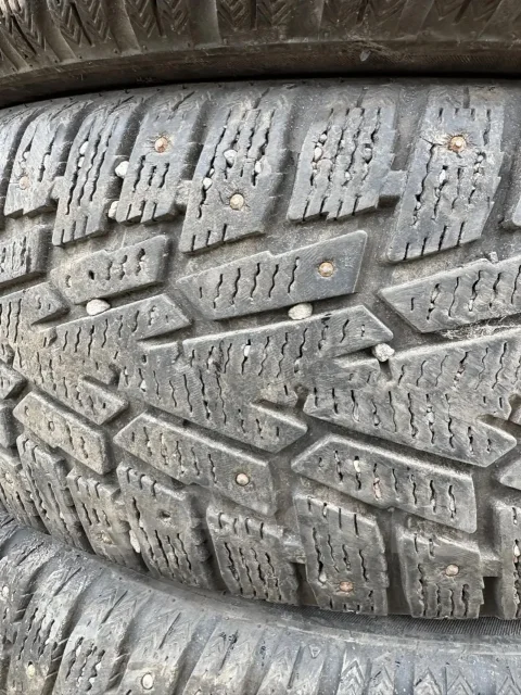 Mazzini Ice Leopard SUV. ������, ����������, �/�, ����� 50 % ����