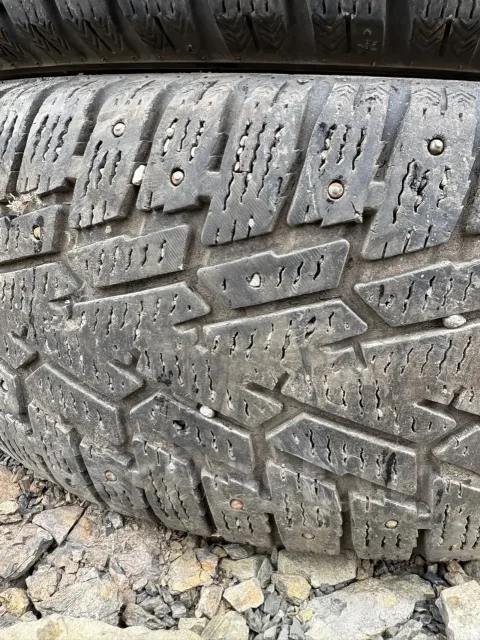 Mazzini Ice Leopard SUV. ������, ����������, �/�, ����� 50 % ����