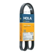 ������, ������������, 6PK1078, VW Bora/Golf IV 1.4, 1.6 (00-05), Amarok 2.0 (09-), Multivan VI 2.0 (HOLA PH3765 PH3765 ����