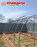 ������� ������. ����
