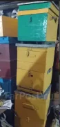 ����. ����
