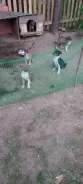 ������. ����