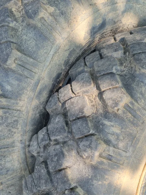 Yanmar ����