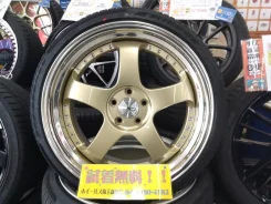 SSR Professor SP1