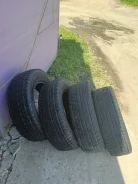 Presa PI14. ������, ��� �����, 2017 ���, �/�, ����� �� 5 % ����