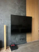 Philips ����