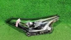 ���� Toyota C-HR, ������ 10101 ����