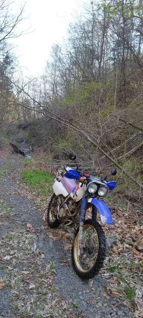 Honda XLR 250 Baja. 250����. ��., ��������, ���������, ������ �� �� ����