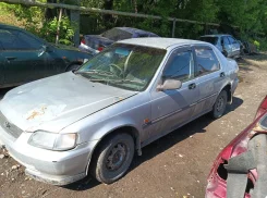 Honda Domani. MA7, D15B ����