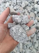 ������. ����
