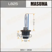 ����� D2S Xenon COOL White Grade [D2S 12V 35W P32d-2 6000K] D2S 12V 35W P32d-2 6000K Masuma ���. L825 L825 ����