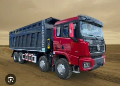 ���������. ����