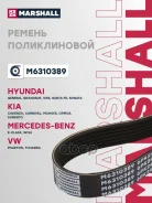 ������ ������������ M6310389 ����