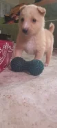 � ������ ���� ����