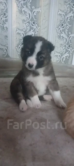 � ������ ���� ����