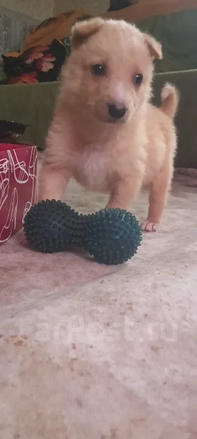 � ������ ���� ����