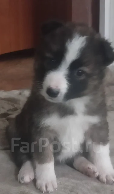 � ������ ���� ����