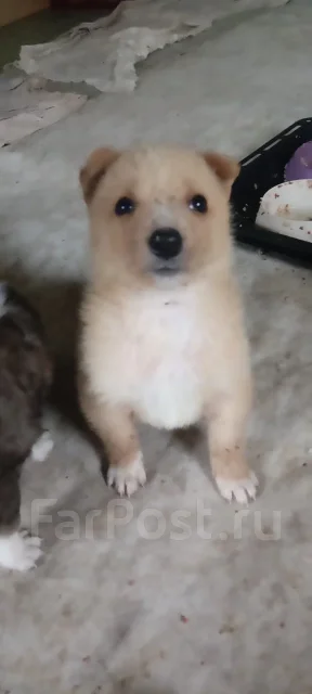 � ������ ���� ����