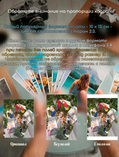 ����������. ����