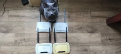 �������. ����