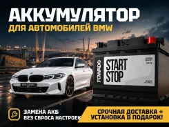 ����������� ��� BMW! ��������� � �������� 0�! Fowado EFB L4 | ����� L4 ����