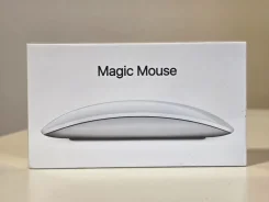 ���� ������������. ����