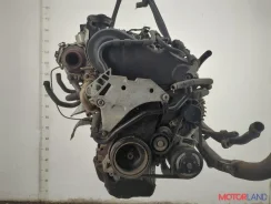 ���������� ������������ Volkswagen Passat 6 2005-2010 11828917 5N0820803 ����