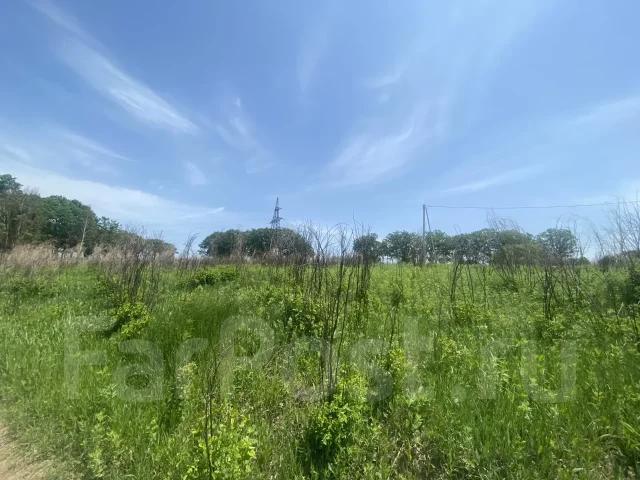 ������������� ������� � ������ "����������". 12.4����., ����� ���������� �������, �������������, ������������� ����