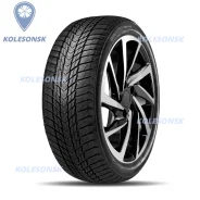 Roadstone Winguard Ice Plus