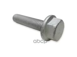 ���� (M10x45) VAG ���. N10699901 N10699901 ����