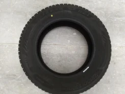 Bridgestone Blizzak WZ-1