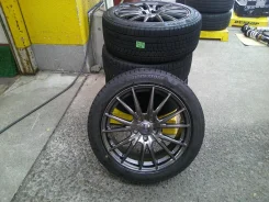 Weds Velva Sport