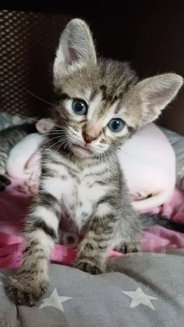 ������. ����
