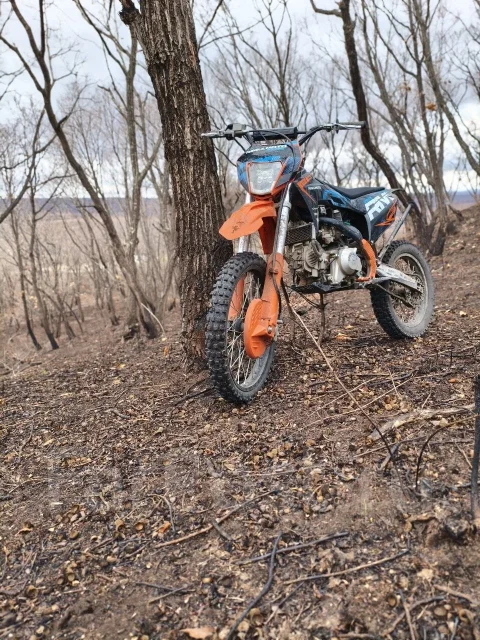 Regulmoto Spitfire Pro. 150����. ��., ��������, ���������, ������ �� �� ����