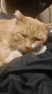 �����. ����
