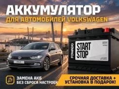 �������� ��� ��� Volkswagen! ��������� � �������� 0 ���! ����� EFB LN2 100.0 ����
